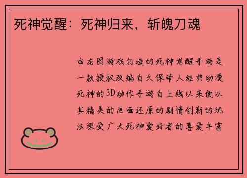 死神觉醒：死神归来，斩魄刀魂